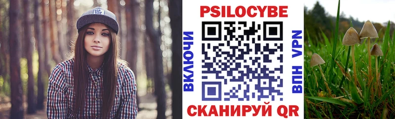 blacksprut ONION  Берёзовка  Псилоцибиновые грибы Cubensis  цены наркотик 